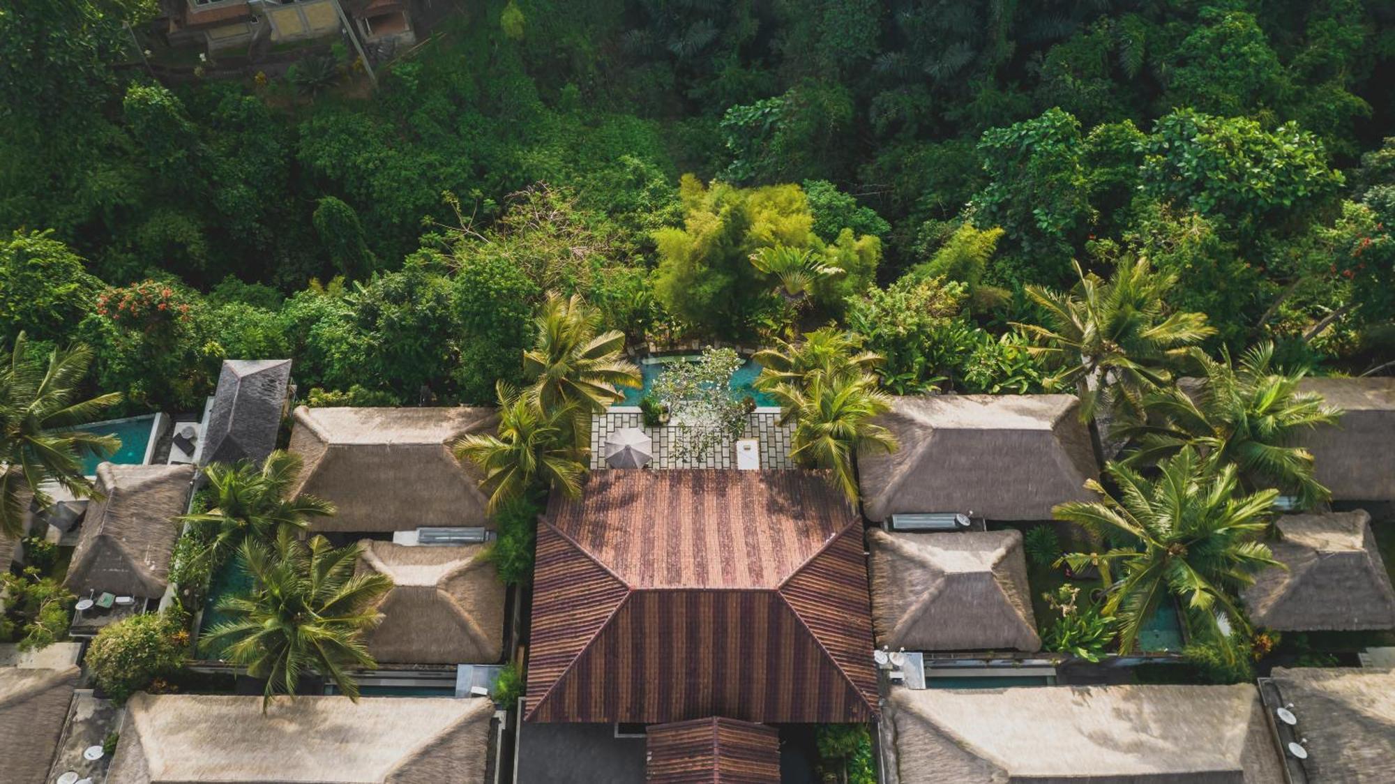 Luwak Estate Villa Ubud Eksteriør billede