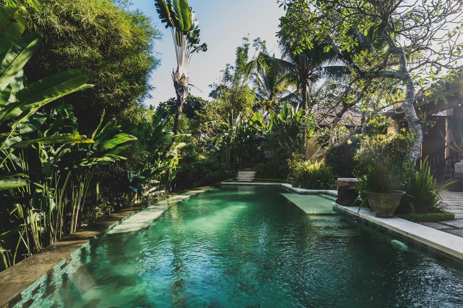 Luwak Estate Villa Ubud Eksteriør billede