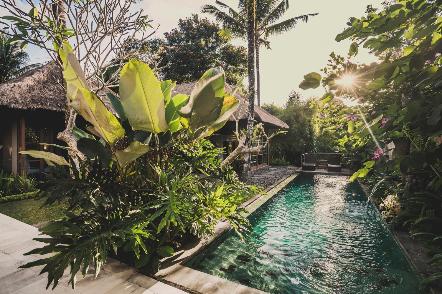 Luwak Estate Villa Ubud Eksteriør billede