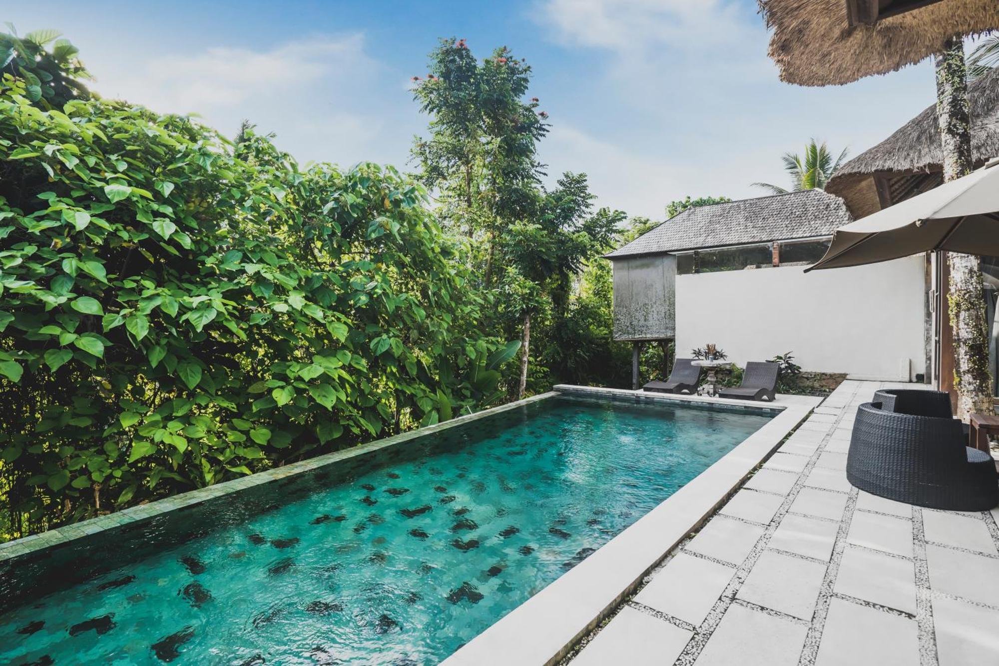 Luwak Estate Villa Ubud Eksteriør billede